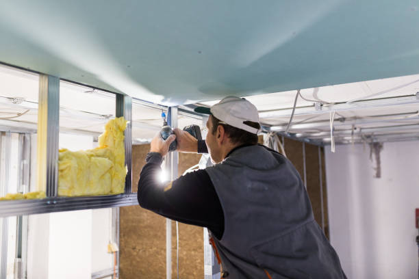 Best Specialty Insulation in Elgin, IL