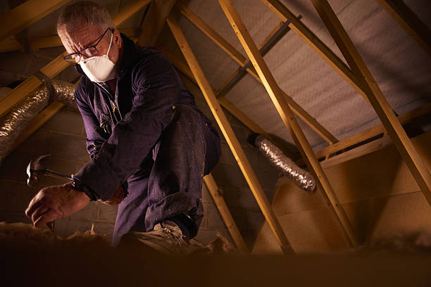 Best Specialty Insulation in Elgin, IL