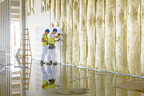 Best Types of Insulation in Elgin, IL